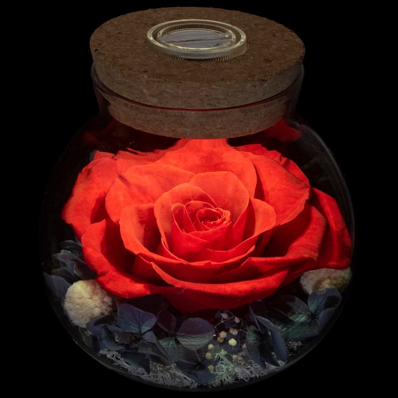 roliys Preserved Real Roses with Colorful Mood Light Wishing Bottle, Eternal Roseï¼ŒNever Withered Flowers, Table Decor,Christmas Anniversary Valentine's, Red 4.3inch, 1pcs - Image 1
